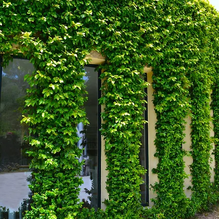 Altair - Serra Degli Alimini Aparthotel